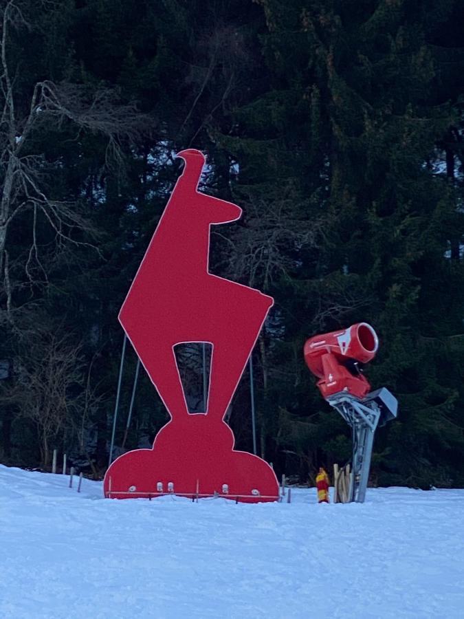 Tirolapart Am Lift - Jochberg Bei Kitzbuhel Appartamento Esterno foto